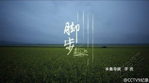 舌尖上的中国2第一集:脚步,影视