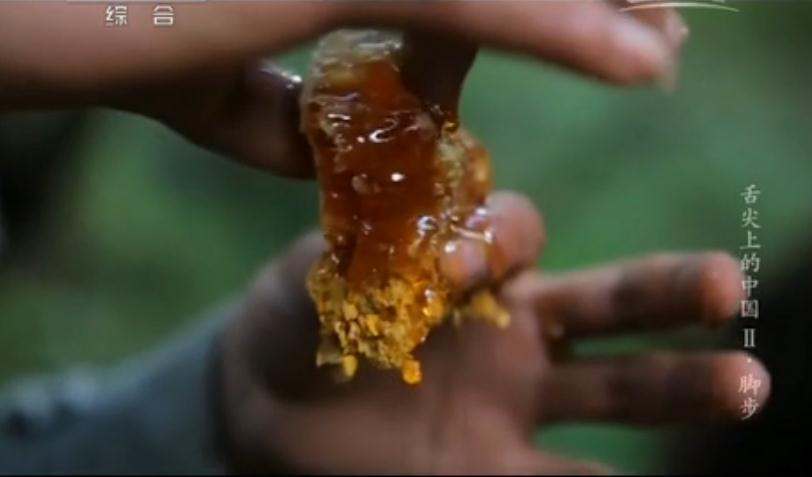 舌尖上的中国2第一集:脚步,影视