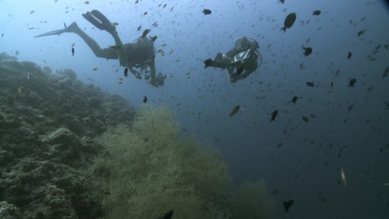 《南海南海》中国南海西沙群岛甘泉岛海域热拍,影视