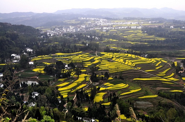 四川四大乡村旅游示范带 成都 川南 川东北 攀西,影视