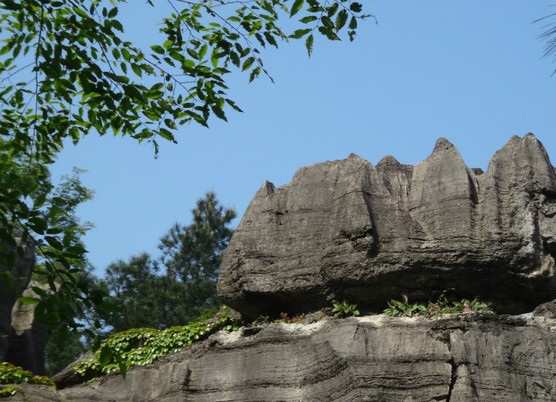 叮咯咙咚呛 龙鳞石海旅游景区-重庆綦江,影视