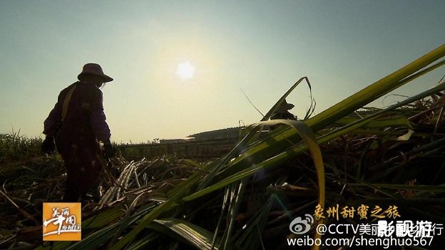 象州甜蜜之旅 海底迷宫 美丽中国乡村行20150409期,影视