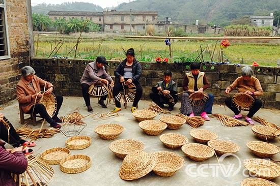 走遍中国杂草编出大生意20150419期博白县特产,影视