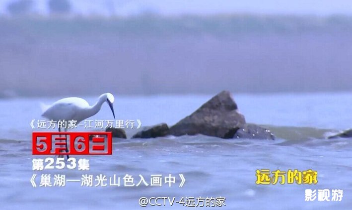 江河万里行253集远方的家 合肥庐江县盛桥镇,影视