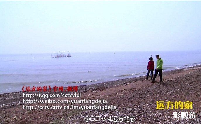 江河万里行253集远方的家 合肥庐江县盛桥镇,影视