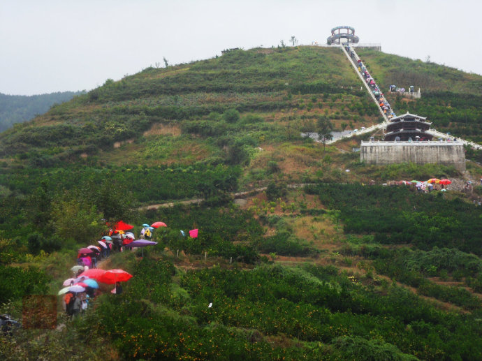美丽中国乡村行春之旅--春游城固20150512期,影视