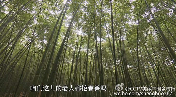 美丽中国乡村行春游长寿村20150518期宁波九龙湖村,影视