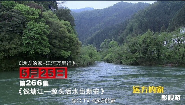江河万里行266集远方的家休宁县新安生态茶园,影视