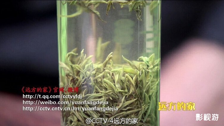 江河万里行266集远方的家休宁县新安生态茶园,影视