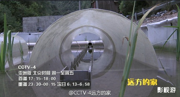 江河万里行第269集远方的家衢州开化县 青蛳,影视