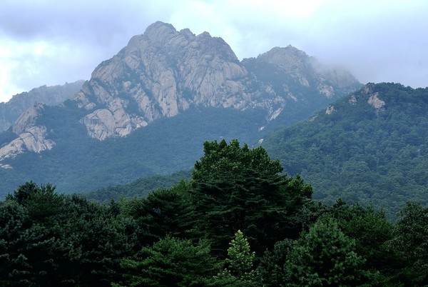 朝鲜元山－金刚山国际旅游区投资说明会,影视