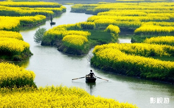 走遍中国太空蔬菜小镇寻兴化垛田镇20150603期,影视