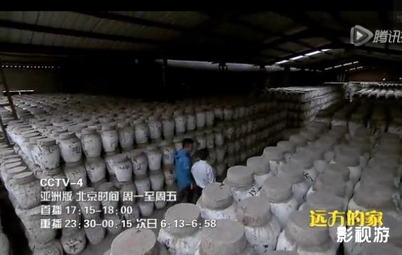 江河万里行279集远方的家钱塘江酒浓情长话绍兴,影视