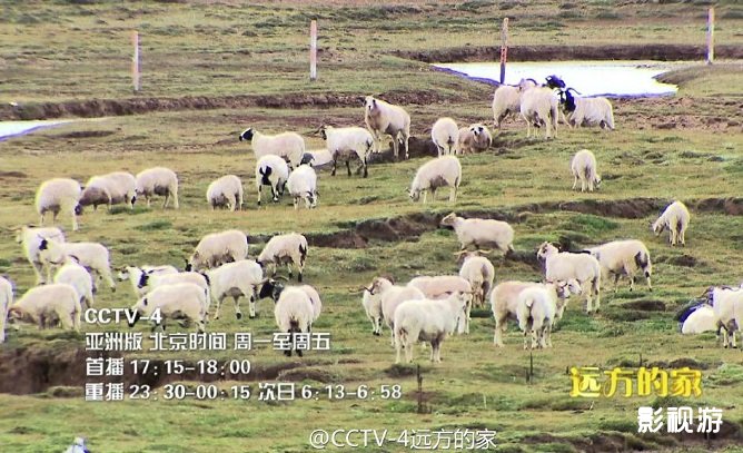 再见江河第一集 远方的家1:中华水塔三江源上集,影视