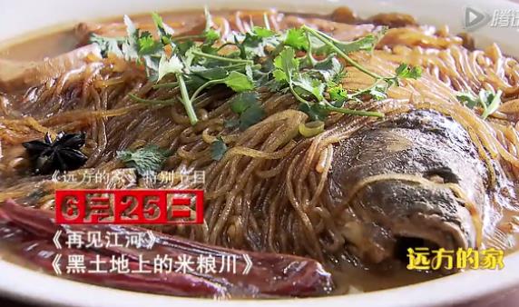 再见江河第8集远方的家 黑土地上的米粮川,影视