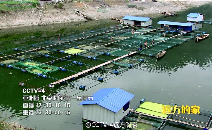 再见江河第14集浓墨丹青画乌江 远方的家乌江,影视