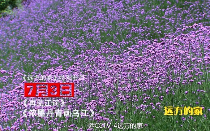 再见江河第14集浓墨丹青画乌江 远方的家乌江,影视