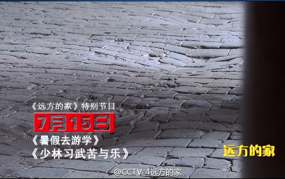远方的家暑假去游学之少林习武苦与乐,影视