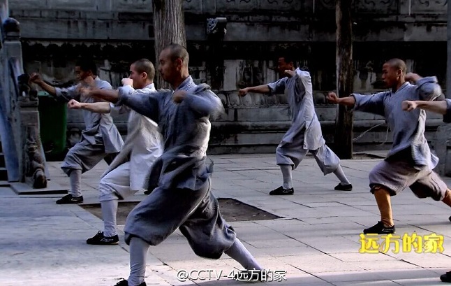 远方的家暑假去游学之少林习武苦与乐,影视