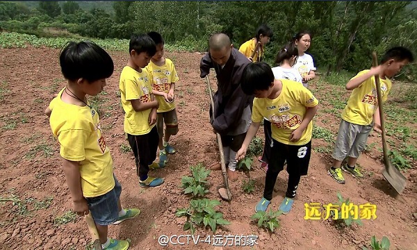 远方的家暑假去游学之少林药局采“药”去,影视