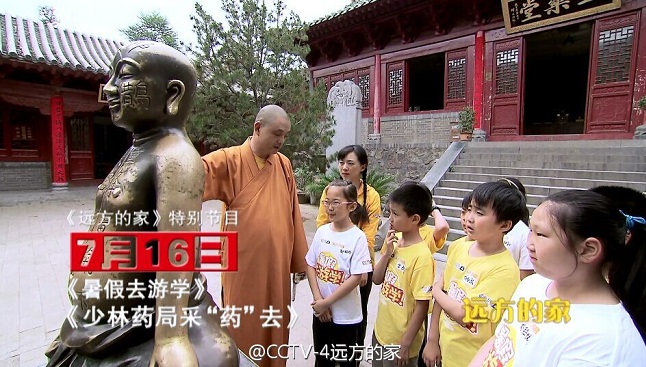 远方的家暑假去游学之少林药局采“药”去,影视