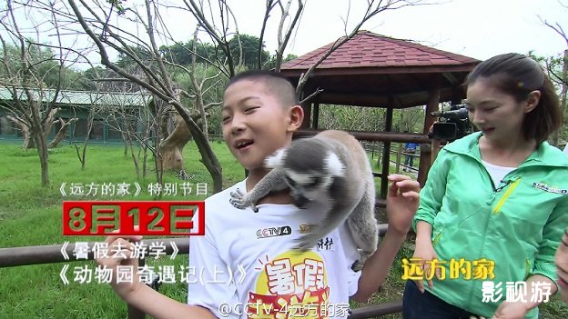 远方的家暑假去游学动物园奇遇记 杭州野生动物,影视