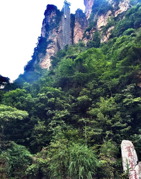 阿凡达哈利路亚山原型取景地-张家界乾坤柱,影视
