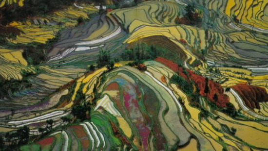 走遍中国:大地雕塑-云南哀牢山红河哈尼梯田,影视