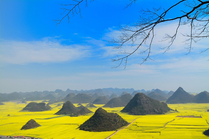 云南旅游：中国最美峰林——罗平金鸡峰林,影视