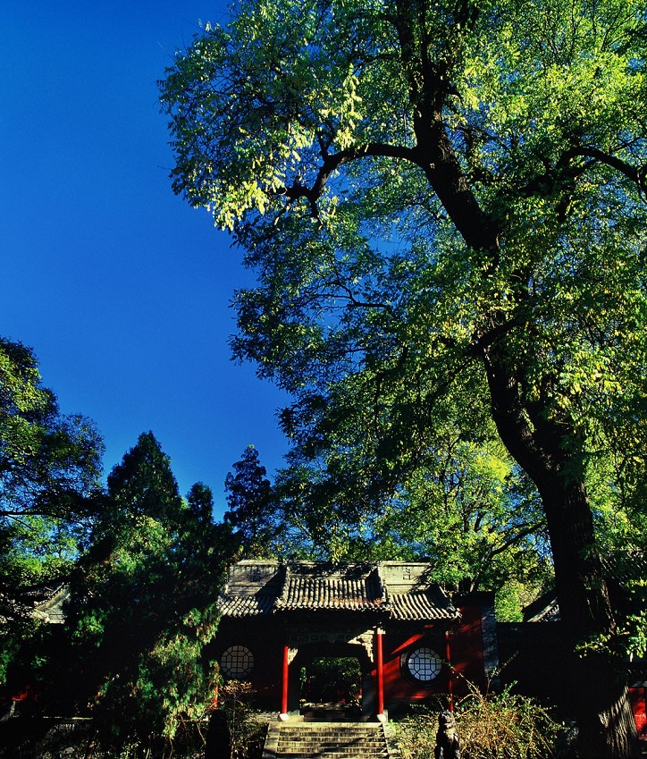 旅游微电影《梦回晋祠穿越三千年的情缘》上线,影视