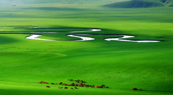 寻龙诀外景拍摄地-内蒙古呼伦贝尔草原,影视