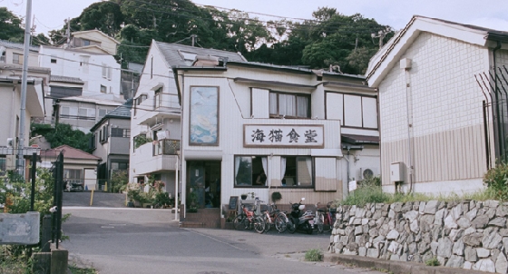 《海街日记》外景拍摄地：千年古城-日本镰仓市,影视