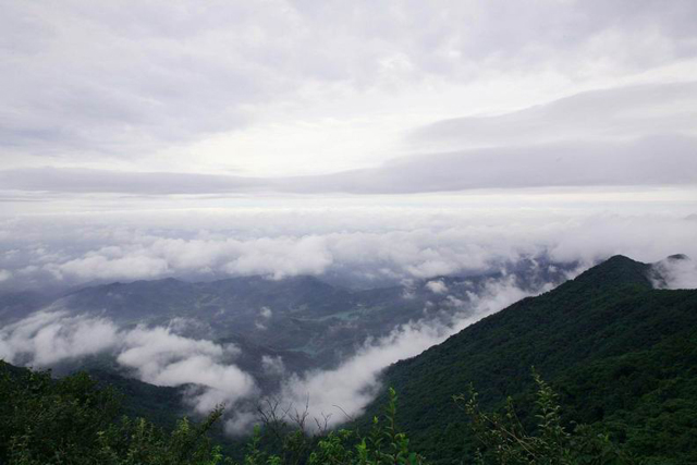 《问禅大洪山》纪录片登央视-神奇秀美大洪山