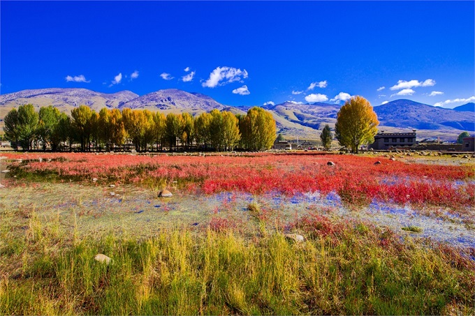 《青丘狐传说》取景地-四川甘孜州稻城亚丁景区,影视