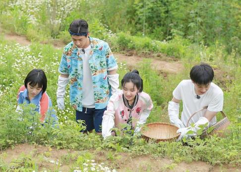 向往的生活2-江南篇拍摄地：浙江省杭州市桐庐旧县街道合岭村,影视