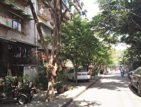 成都FriendsHouse民宿：武侯区玉林南路13号大院-FriendsHouse民宿,影视