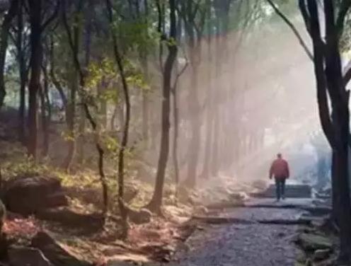 苏州抱朴山居民宿：太湖度假区金庭镇西山岛禅舍民宿-抱朴山居民宿,影视