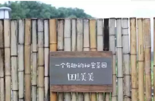苏州阳澄湖村上湖舍民宿:苏州阳澄湖美人腿刘家庄旧厂房民宿村上湖舍,影视