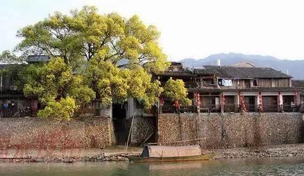 丽水莲都泡茶等花开民宿:莲都区大港头村古街民宿-泡茶等花开民宿,影视