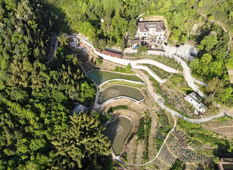 巴南最书香涌泉居：重庆市巴南山里湖边民宿 最书香涌泉居民宿,影视