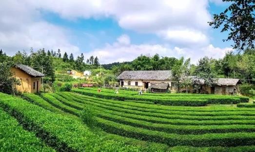 宜昌夷陵谷德庄园民宿：夷陵下堡坪乡蛟龙寺村谷德庄园民宿,影视