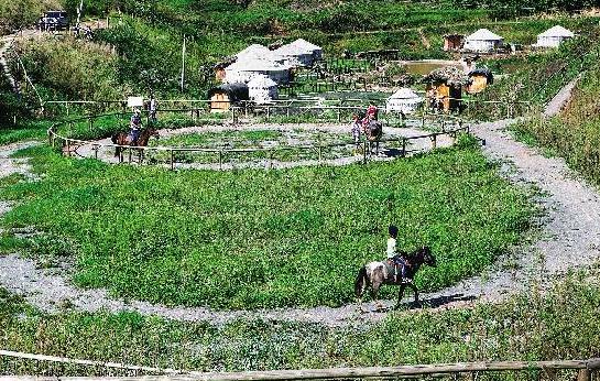 南川民宿-沃草牧场民宿：重庆南川神童镇金钟-草牧场民宿,影视