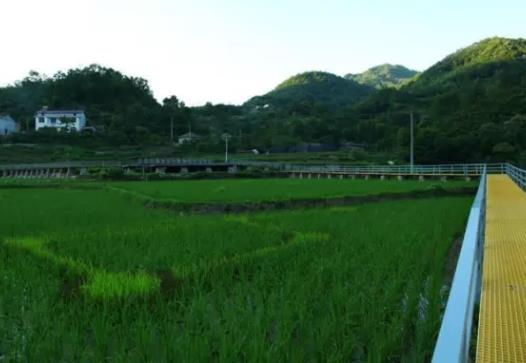 汉中民宿-乡村野舍民宿：佛坪县西岔河乡耖家庄乡村野舍民宿,影视