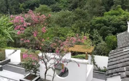 璞舍-沐川璞舍民宿：乐山沐川沐溪镇桃源山居 璞舍民宿,影视