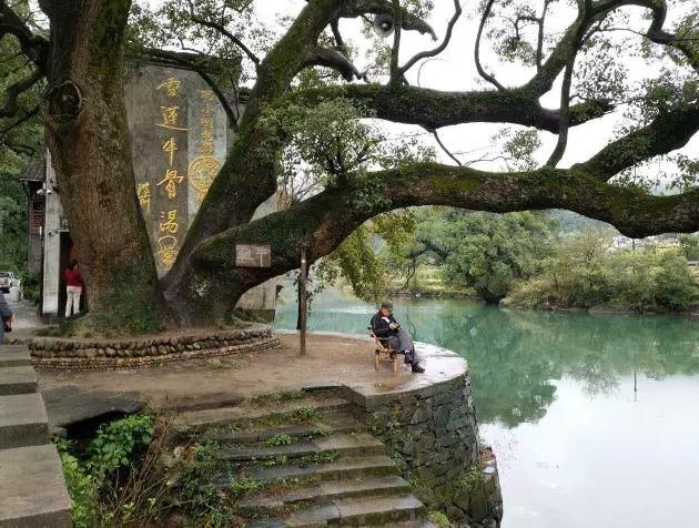 婺源雪莲情缘居民宿：上饶婺源县江湾镇上坦村 雪莲情缘居民宿,影视