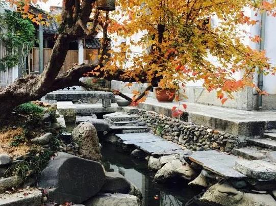 东园艺栈-黄山东园艺栈民宿：黄山区水东村 东园艺栈民宿,影视