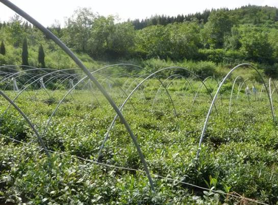 济南圣虎山精品民宿：长清区万德街万南村 圣虎山精品民宿,影视