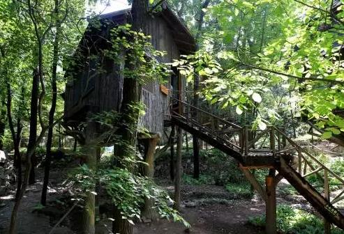 历城香巴拉树屋民宿：济南历城区仲宫镇香巴拉树屋民宿,影视