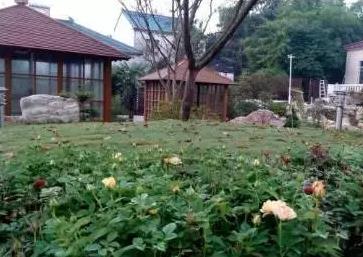 溧阳绿乡民宿：常州市溧阳市戴埠镇绿乡民宿-戴南村老宅绿乡民宿,影视