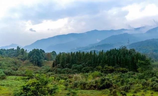 绵竹青山民宿：德阳市绵竹市汉旺镇民宿-青山民宿,影视